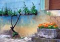 Bourgogne Courtyard
